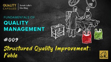 STRUCTURED QUALITY IMPROVEMENT: FABLE